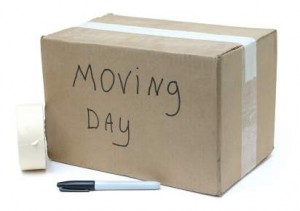 moving box from move into house